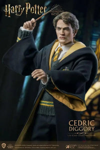 Harry Potter And The Goblet Of Fire Cedric Diggory Dx 1/6 Scale Figure Preorder