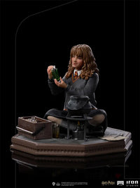 Hermione Granger Polyjuice 1/10 Art Scale Statue Preorder