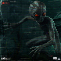 I Want To Believe ET Varginha 1/10 Scale Statue Scale Figure