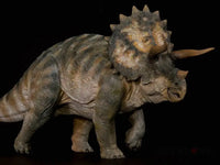Jurassic Series Triceratops (Tricolor Ver.) 1/35 Scale Figure Preorder