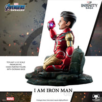 Marvel's Avengers Endgame Iam Iron Man - GeekLoveph