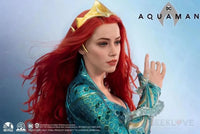 Mera 1/1 Life Size Bust Preorder