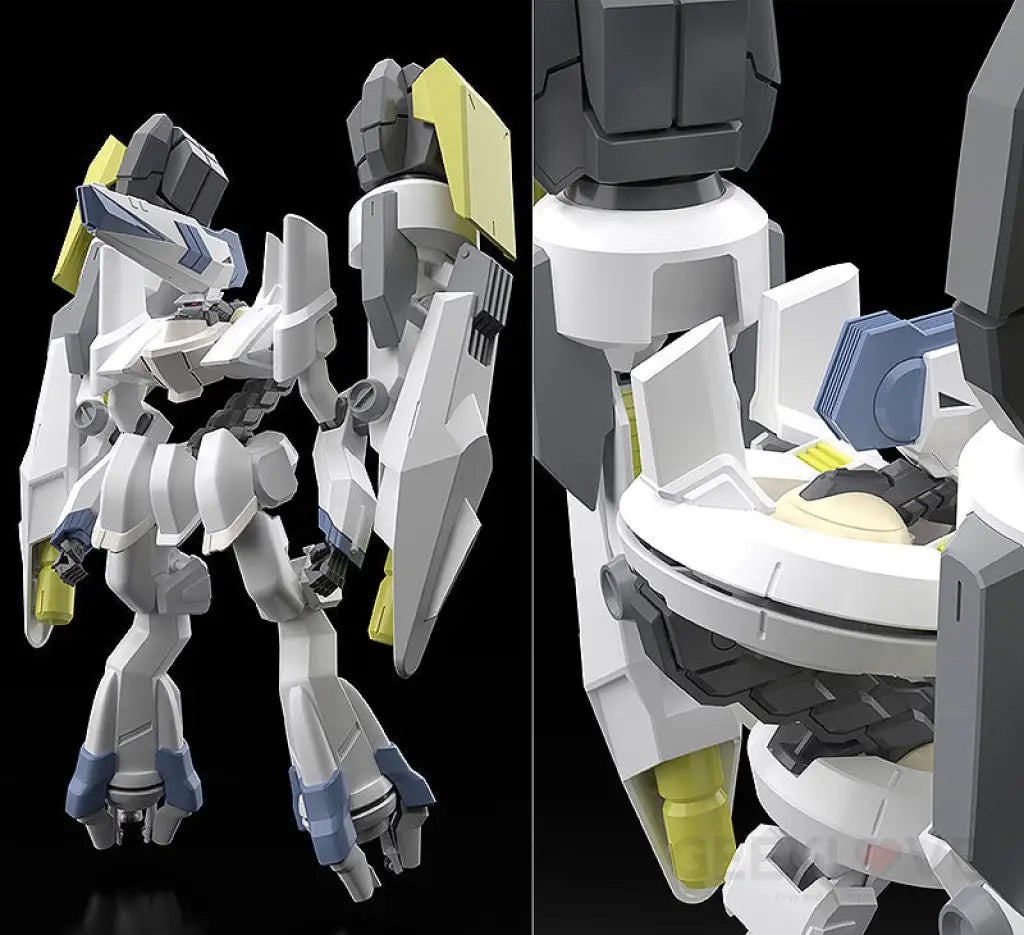 Moderoid Imber Preorder