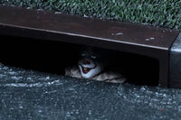 Neca IT (2017) Movie Accessory Set - GeekLoveph