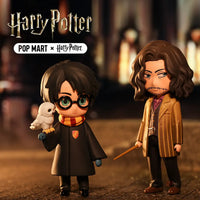 POP MART Harry Potter Magic 12 Blind Box Set - GeekLoveph