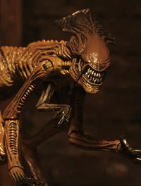 Pre Order NECA: Alien 3 Creature Accessory Pack - GeekLoveph