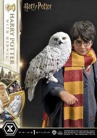 Prime Collectible Figures Harry Potter With Hedwig Pre Order Price Scale Figure