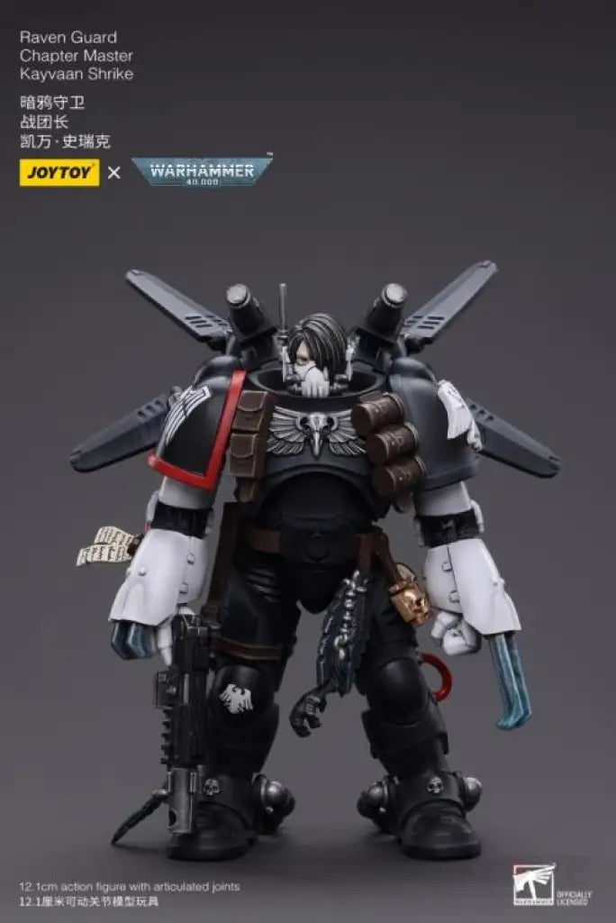 Raven Guard Chapter Master Kayvaan Shrike Action Figure