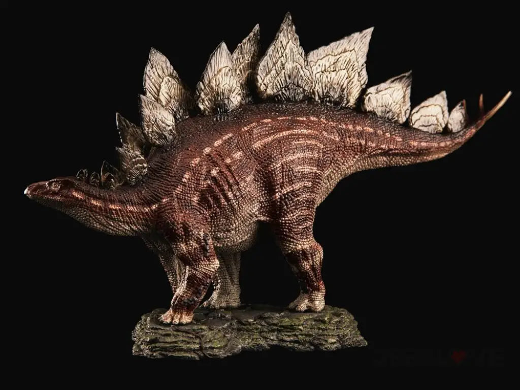 REBOR 1:35 Male Stegosaurus Armatus Museum Class Replica (GARDEN MOUNTAIN) BO - GeekLoveph