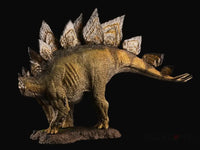 REBOR 1:35 Male Stegosaurus Armatus Museum Class Replica (GARDEN PLAIN) BO - GeekLoveph