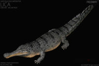 Rebor 1:35 Sarcosuchus Imperator Lica Museum Class Replica Deluxe Pack Lake Ver. Dinosaur