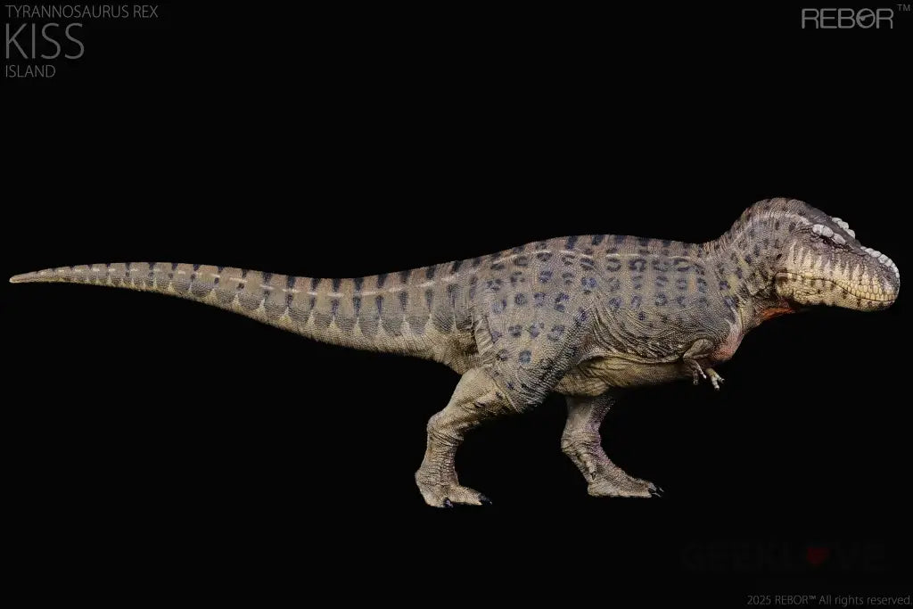 Rebor 1:35 Tyrannosaurus Rex ’Kiss’ Island Ver. Dinosaur