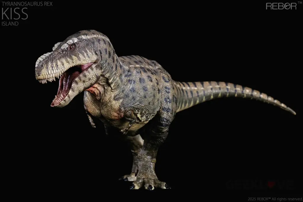 Rebor 1:35 Tyrannosaurus Rex ’Kiss’ Island Ver. Pre Order Price Dinosaur