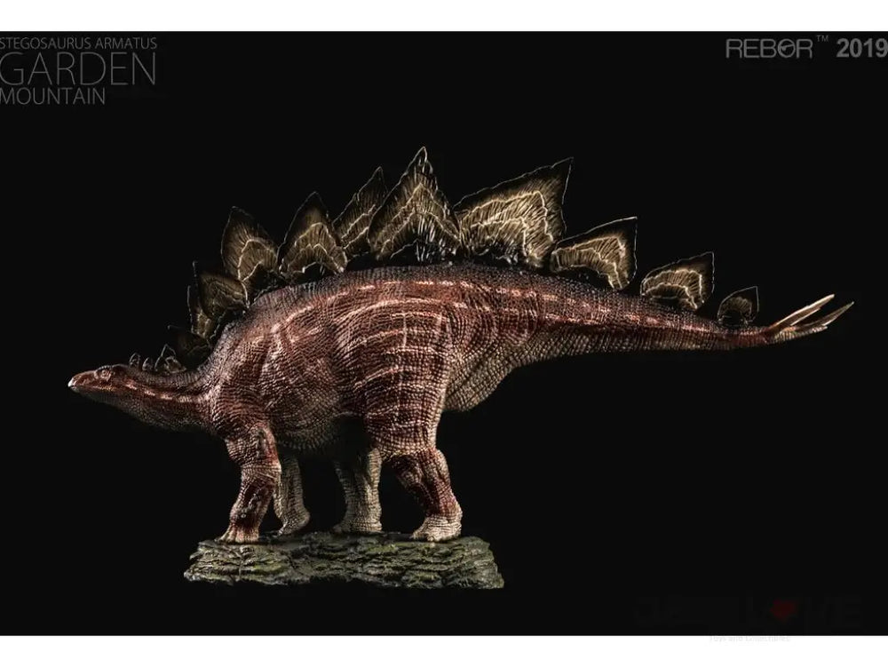 REBOR 1:35 Male Stegosaurus Armatus Museum Class Replica (GARDEN MOUNTAIN) BO - GeekLoveph