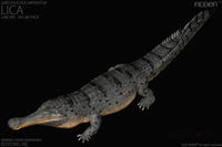 Rebor 1:35 Sarcosuchus Imperator Lica Museum Class Replica Deluxe Pack Lake Ver. Dinosaur