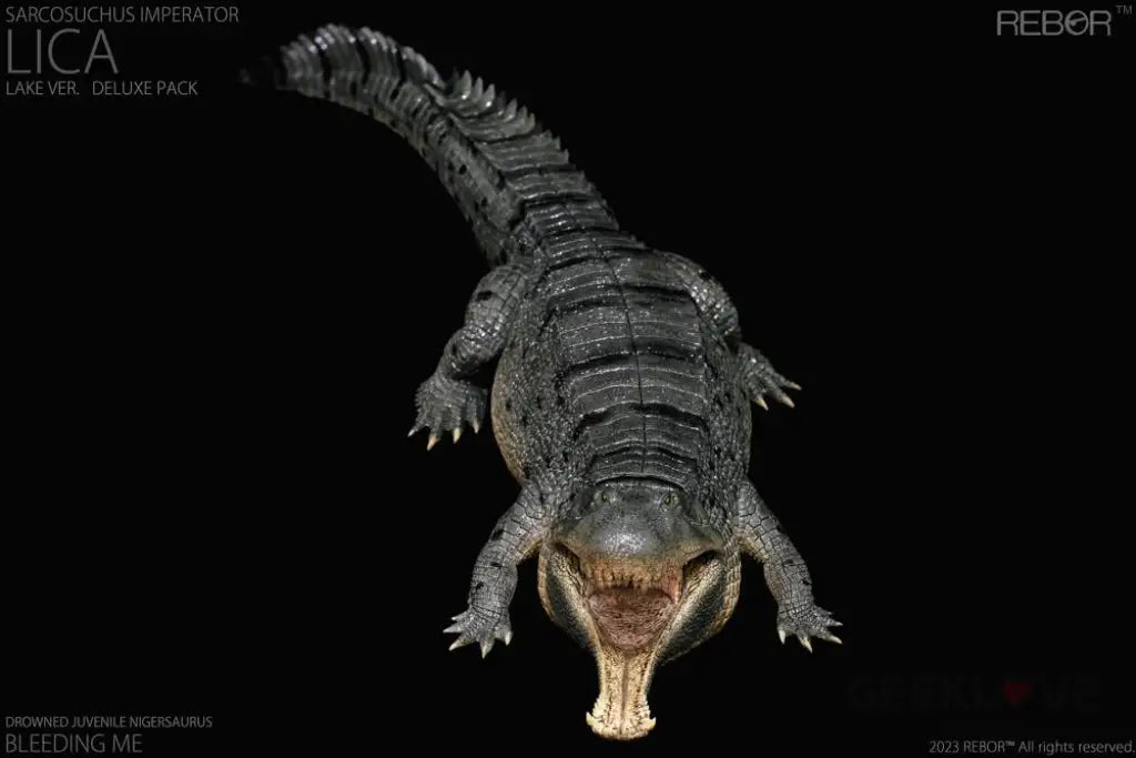 Rebor 1:35 Sarcosuchus Imperator Lica Museum Class Replica Deluxe Pack Lake Ver. Dinosaur