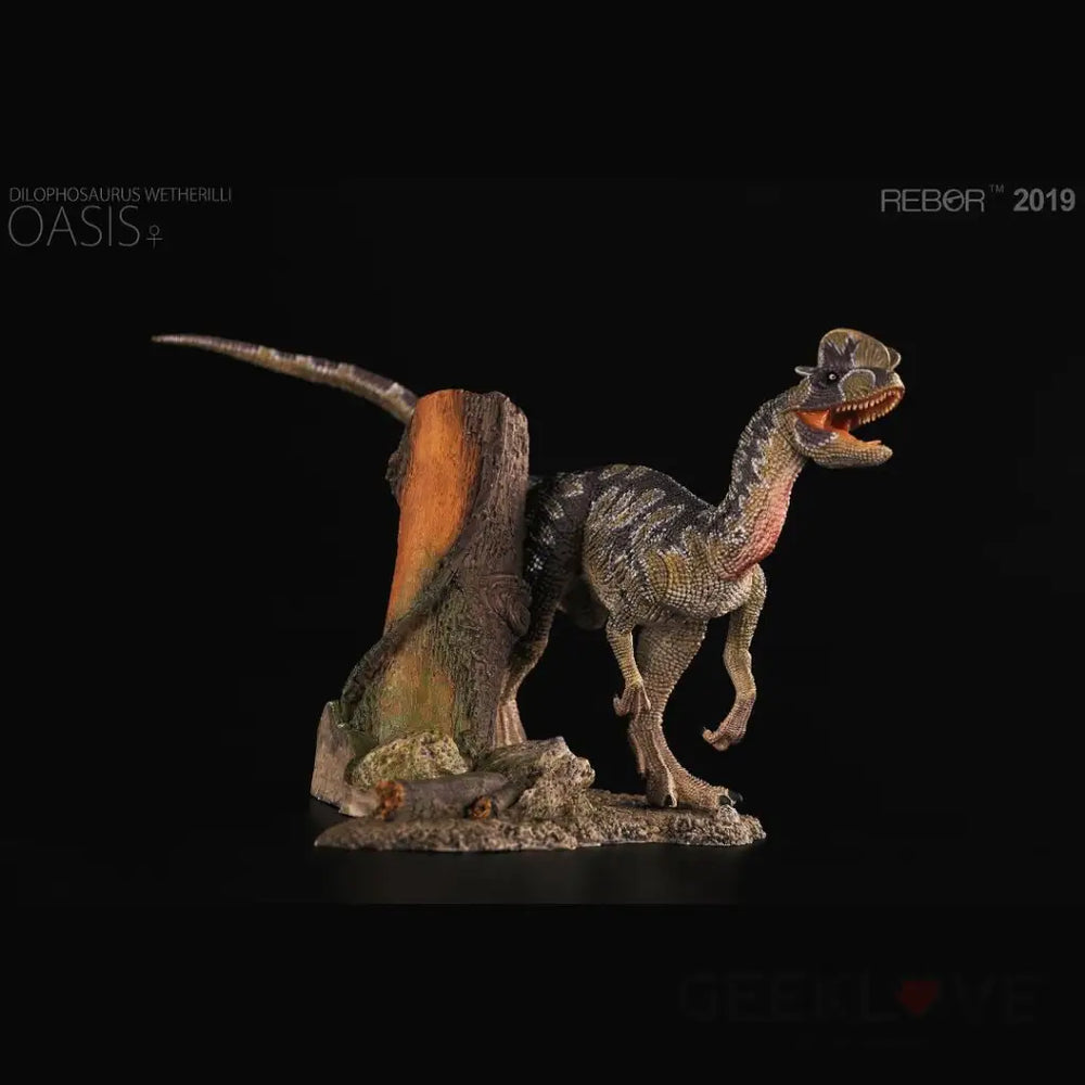 Rebor Dilophosaurus Wetherilli Oasis 1/35 Scale Back Order