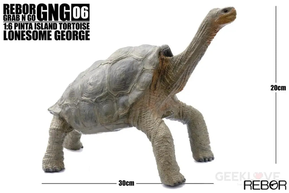 Rebor Gng 06 1:6 Pinta Island Tortoise Lonesome George Pre Order Price Dinosaur