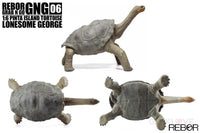 Rebor Gng 06 1:6 Pinta Island Tortoise Lonesome George Dinosaur