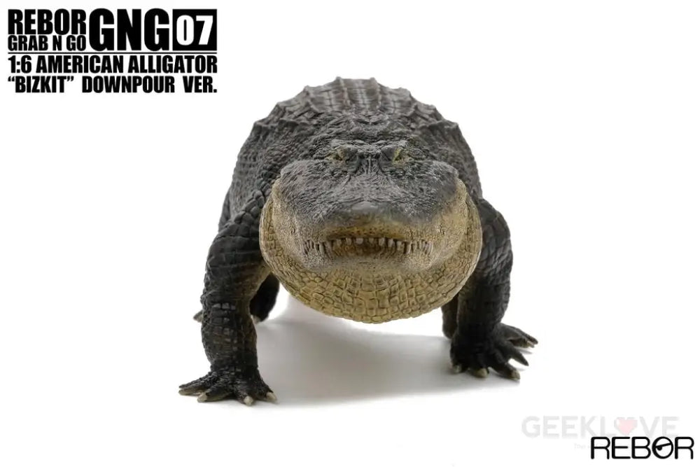 Rebor Gng 07 1:6 American Alligator Bizkit Downpour Ver. Dinosaur