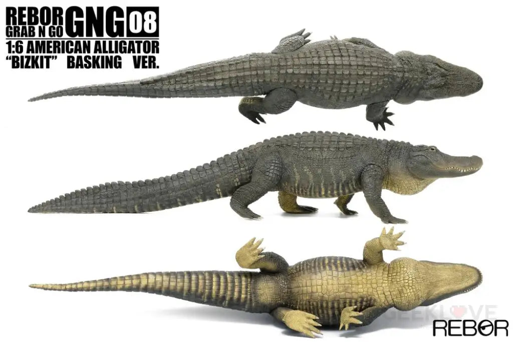 Rebor Gng 08 1:6 American Alligator Bizkit Basking Ver. Dinosaur