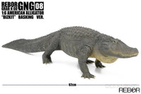 Rebor Gng 08 1:6 American Alligator Bizkit Basking Ver. Pre Order Price Dinosaur