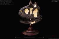 Rebor Oddities Fossil Studies Carnotaurus Sastrei Museum Class Skull Replica - GeekLoveph
