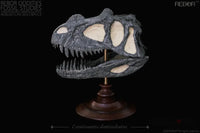 Rebor Oddities Fossil Studies Ceratosaurus Dentisulcatus Museum Class Skull Replica - GeekLoveph