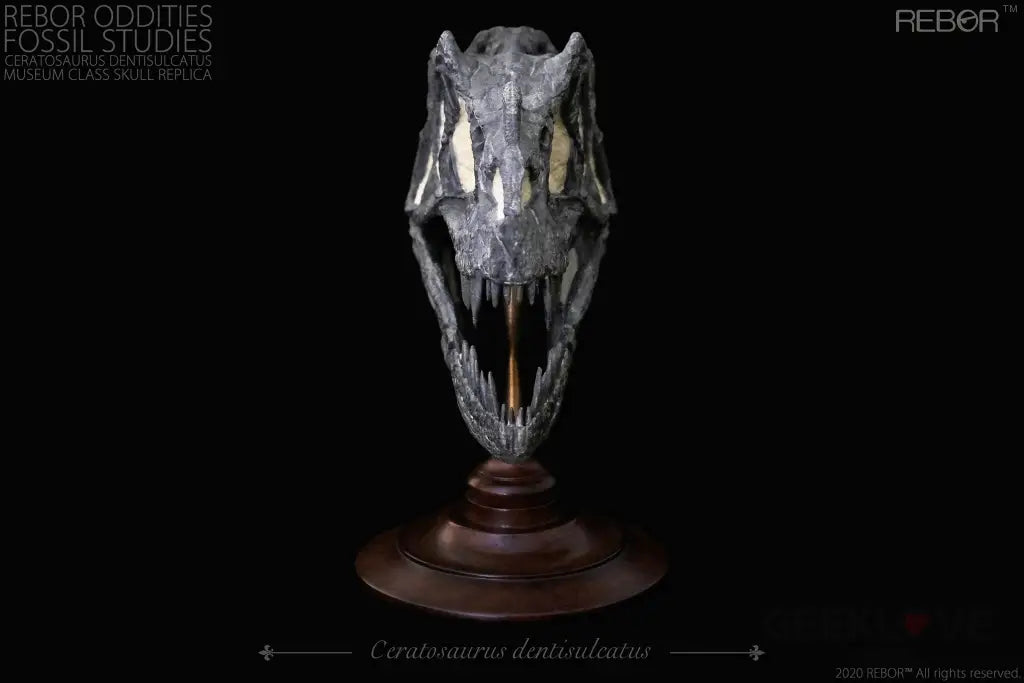 Rebor Oddities Fossil Studies Ceratosaurus Dentisulcatus Museum Class Skull Replica - GeekLoveph