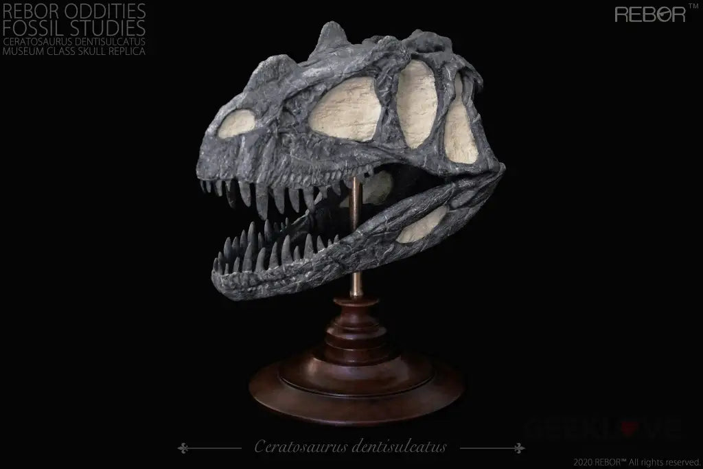 Rebor Oddities Fossil Studies Ceratosaurus Dentisulcatus Museum Class Skull Replica - GeekLoveph