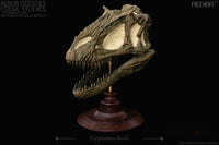 Rebor Oddities Fossil Studies Yutyrannus Huali Museum Class Skull Replica - GeekLoveph