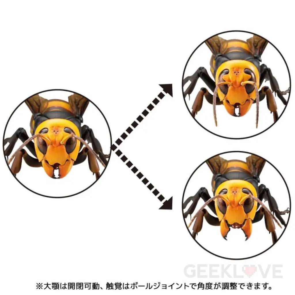 Revoltech RevoGeo Vespa Mandarinia (Asian Giant Hornet) - GeekLoveph