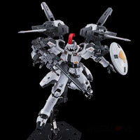 RG 1/144 TALLGEESE(TV ANIME COLOR) - GeekLoveph