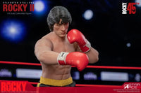 Rocky Boxer (Rocky Ii) (Nx) Pre Order Price Action Figure