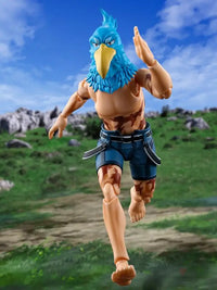 S.h.figuarts Sunraku