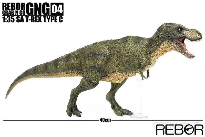 SA Tyrannosaurus Rex Type C