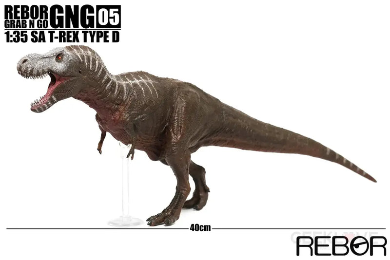 SA Tyrannosaurus Rex Type D
