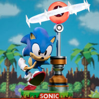 Sonic The Hedgehog - Sonic PVC (Collector's Edition) - GeekLoveph