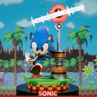 Sonic The Hedgehog - Sonic PVC (Collector's Edition) - GeekLoveph