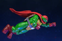 Teenage Mutant Ninja Turtle (Mirage Comics) Super Turtle Action Figure Action Figure