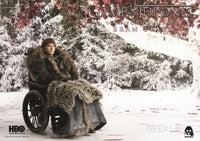 Threezero: Game of Thrones - 1/6 Bran Stark - GeekLoveph