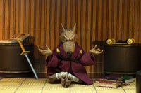 TMNT (Cartoon) Splinter and Baxter Stockman 2 pack - GeekLoveph