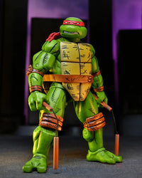 Tmnt Leonardo Raphael Michelangelo Donatello 4-Pack (Mirage Comics) Action Figure