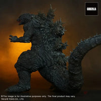 Toho 30Cm Series Godzilla The Ride Sofvi