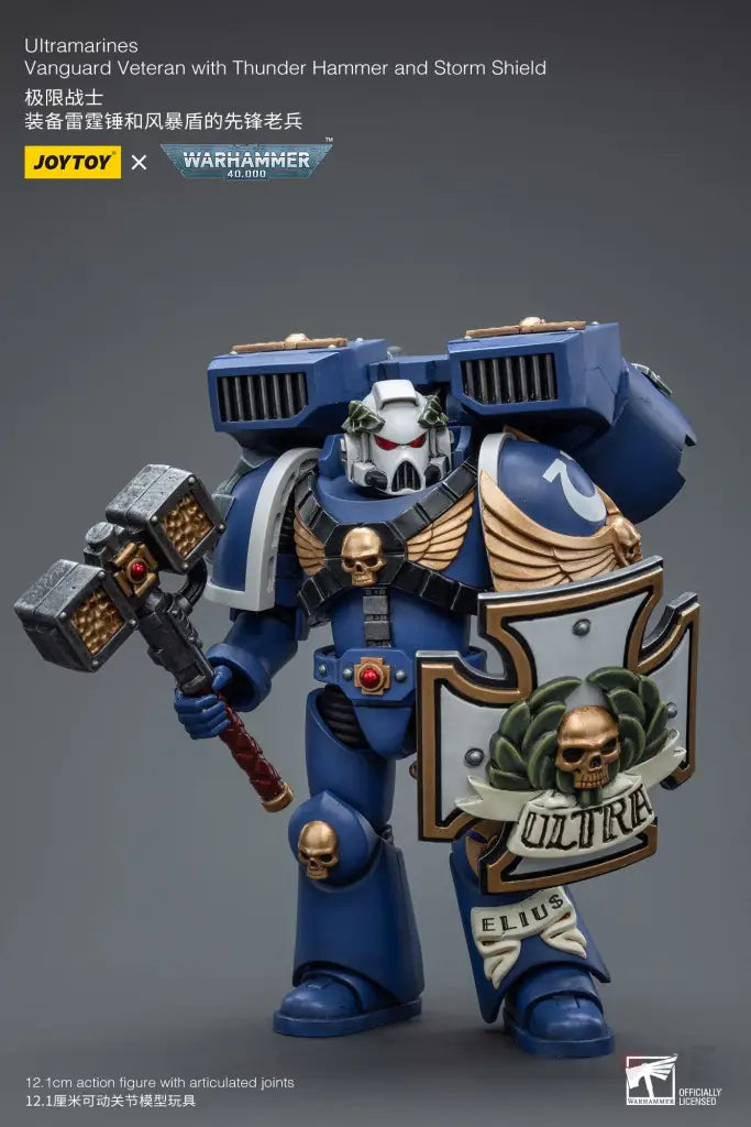 Ultramarines Vanguard Veteran With Thunder Hammer And Storm Shield Action Figure