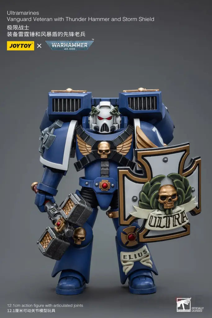 Ultramarines Vanguard Veteran With Thunder Hammer And Storm Shield Action Figure