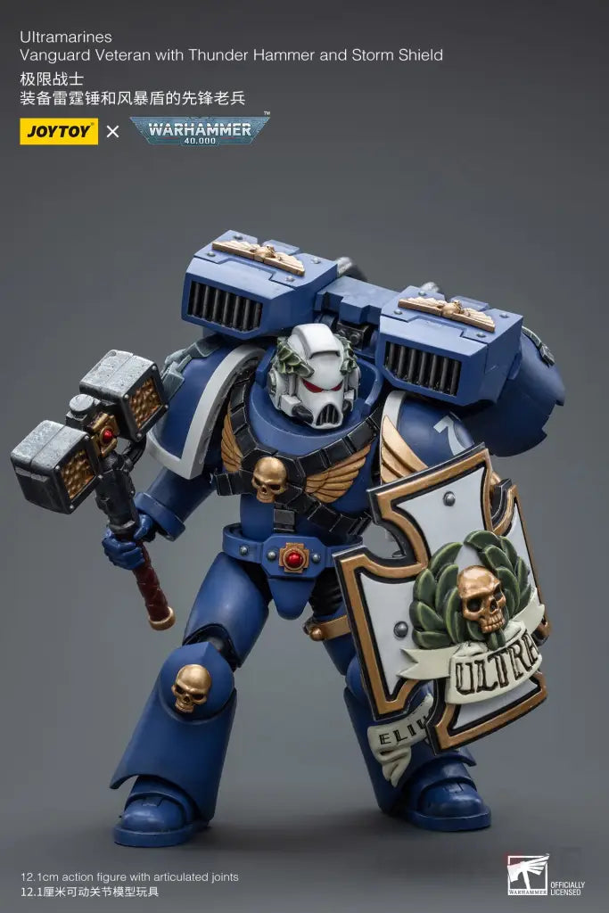 Ultramarines Vanguard Veteran With Thunder Hammer And Storm Shield Action Figure