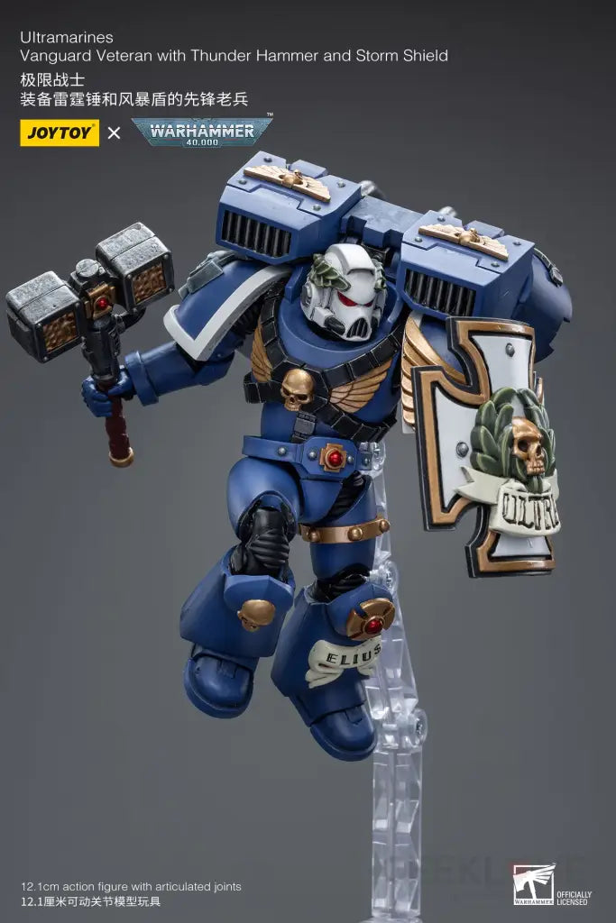 Ultramarines Vanguard Veteran with Thunder Hammer and Storm Shield