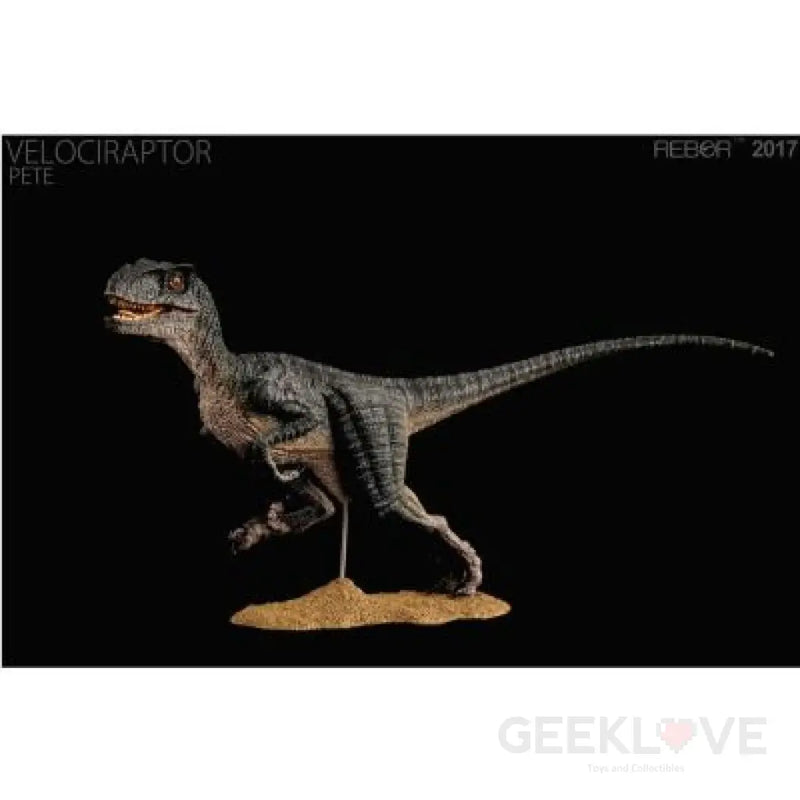 Velociraptor Pete