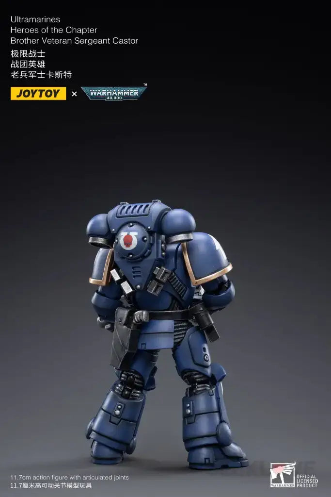 Warhammer 40K Ultramarines Heroes of the Chapter Brother Veteran Sergeant Castor Action Figure